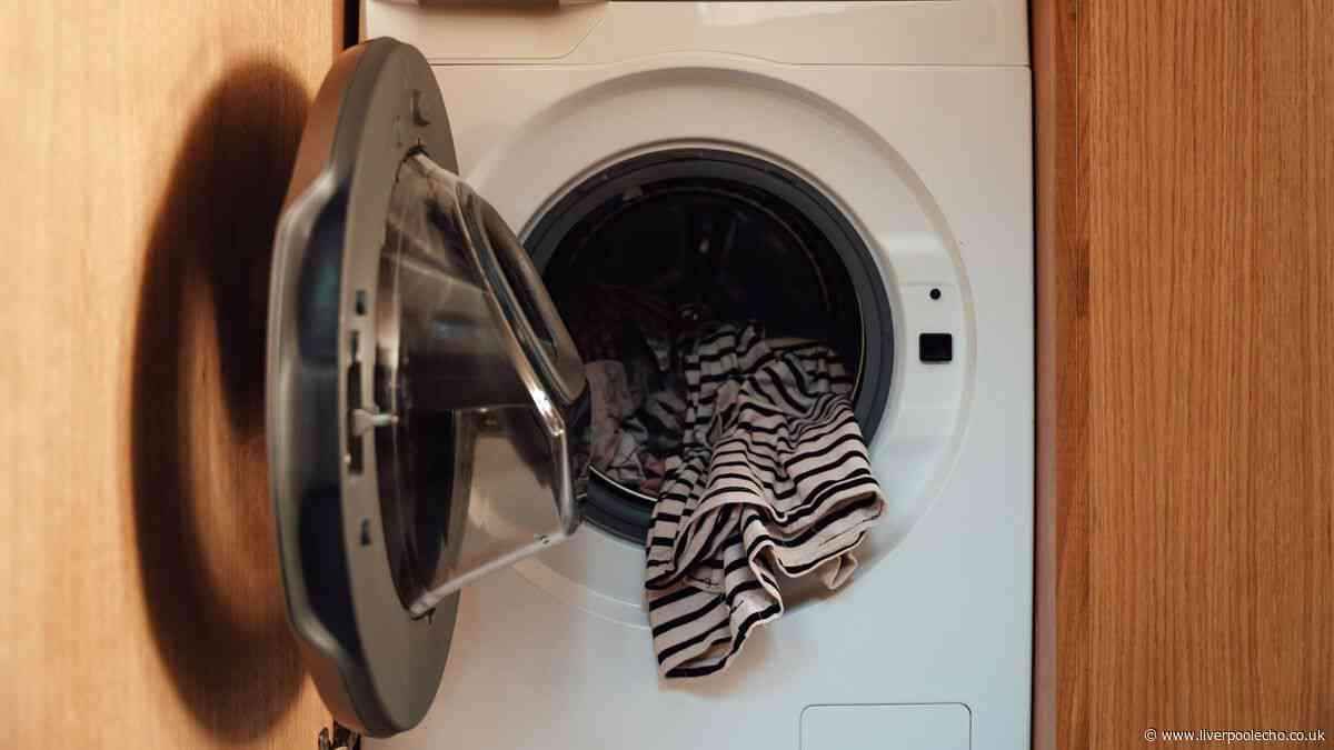 Anyone with a washing machine urged to carry out crucial task to avoid 'disaster'