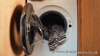Anyone with a washing machine urged to carry out crucial task to avoid 'disaster'