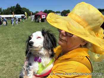 Wiener dogs invade Burford for annual Wienerfest celebration