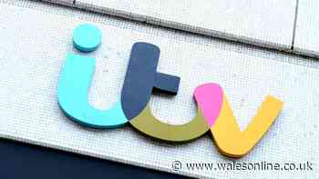 Viewers celebrate as 'best show on TV' returns for third series