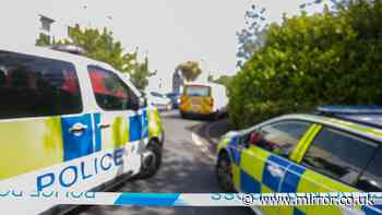Armed police swarm Kent village following 'serious assault with weapons'