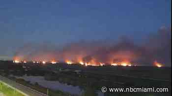 Brush fire burns in western Broward County, Florida Forest Service says