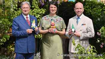 Alan Titchmarsh says 'now is the perfect time' to plant 3 flowers for year-round colour