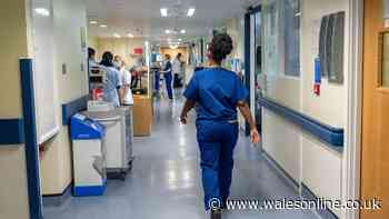 Exact number of graduating nurses, midwives and theatre operative students without NHS jobs revealed