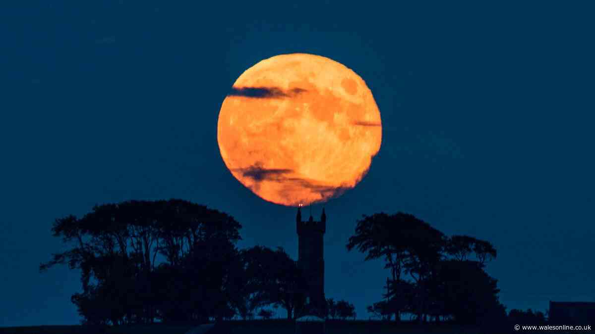 Best time and places to see spectacular Strawberry Moon tonight
