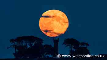 Best time and places to see spectacular Strawberry Moon tonight