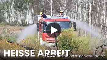 Video: Waldbrand in Sachsen – Löscharbeiten durch Hitze erschwert