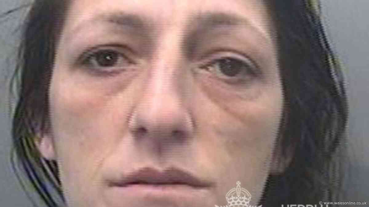 People chased outside Swansea train station by woman carrying kitchen knife