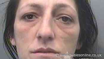 People chased outside Swansea train station by woman carrying kitchen knife