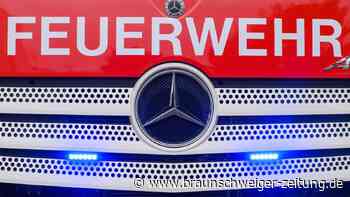 Vermisster Wolfsburger: Mit Drohnen und Polizeipferden auf Suche nach 88-Jährigem