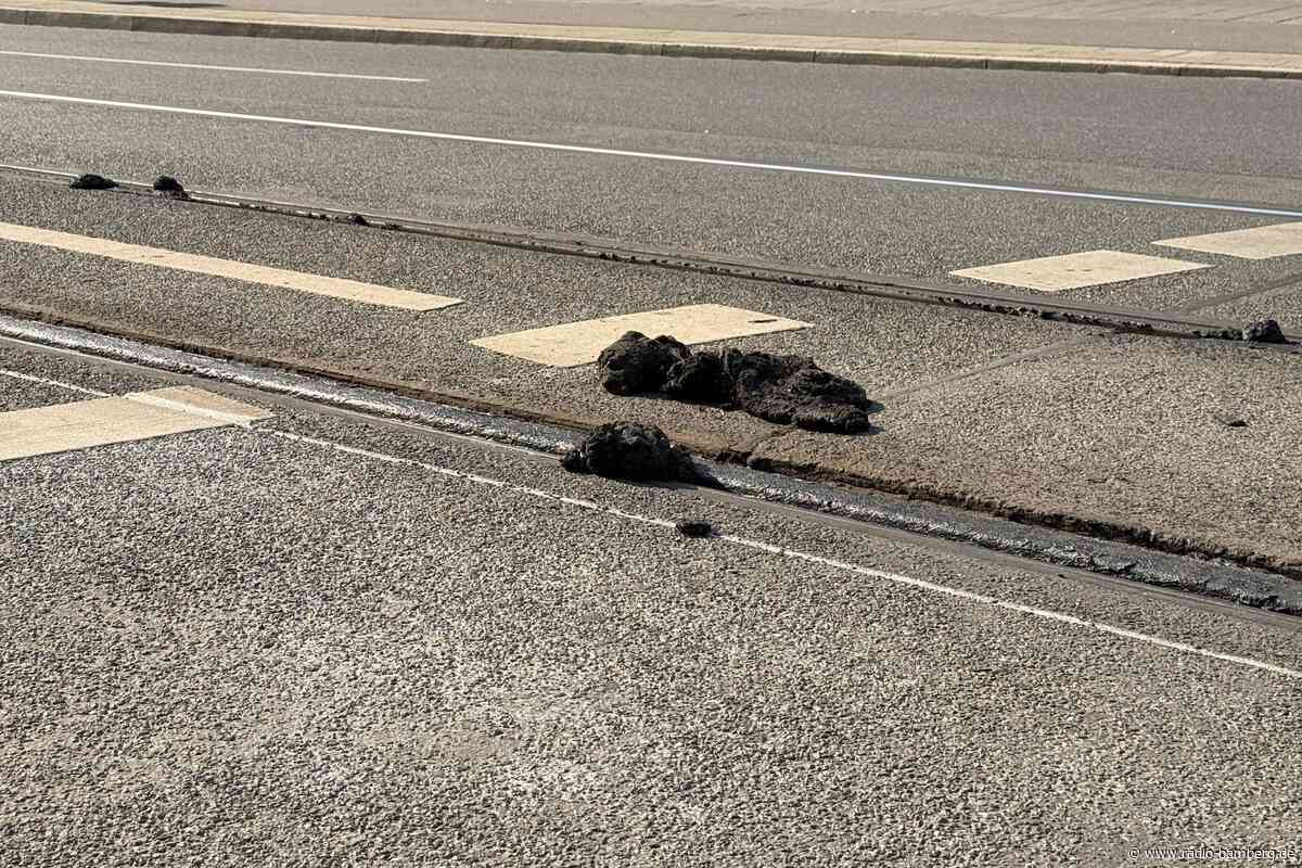 Hitzeschäden stoppen Nürnberger Straßenbahnen vorerst