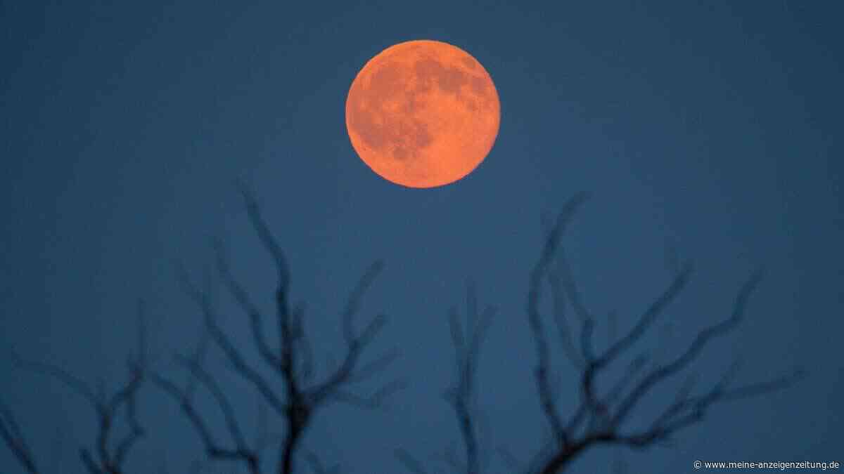 Wann Sie heute Nacht den „Erdbeermond“ am besten sehen können