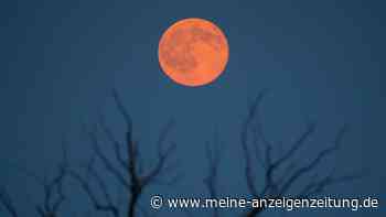 Wann Sie heute Nacht den „Erdbeermond“ am besten sehen können