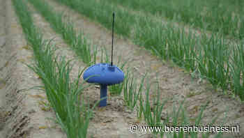 Heet en extreem weer werkt trips in de hand