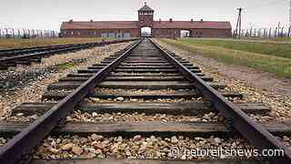 Public Schools NEVER Taught You This! EXPLOSIVE Auschwitz Interview With Auschwitz State Museum Director Dr. Franciszek Piper (Video)