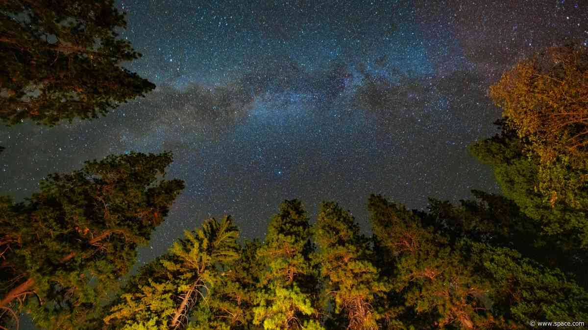 Light pollution may be erasing millions of dollars in value at US dark-sky parks