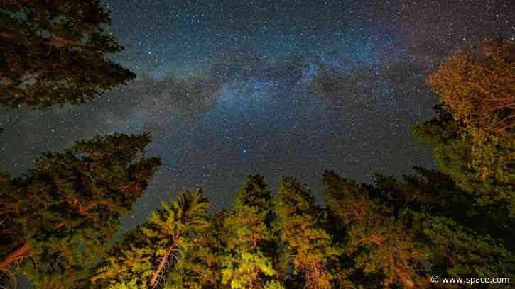 Light pollution may be erasing millions of dollars in value at US dark-sky parks