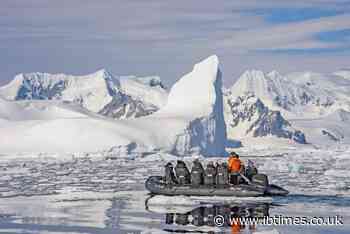 Top 5 Antarctic Peninsula Cruise Operators in 2026