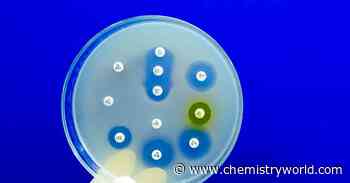 Metabolised antibiotics can drive antimicrobial resistance just as much as their parent compounds