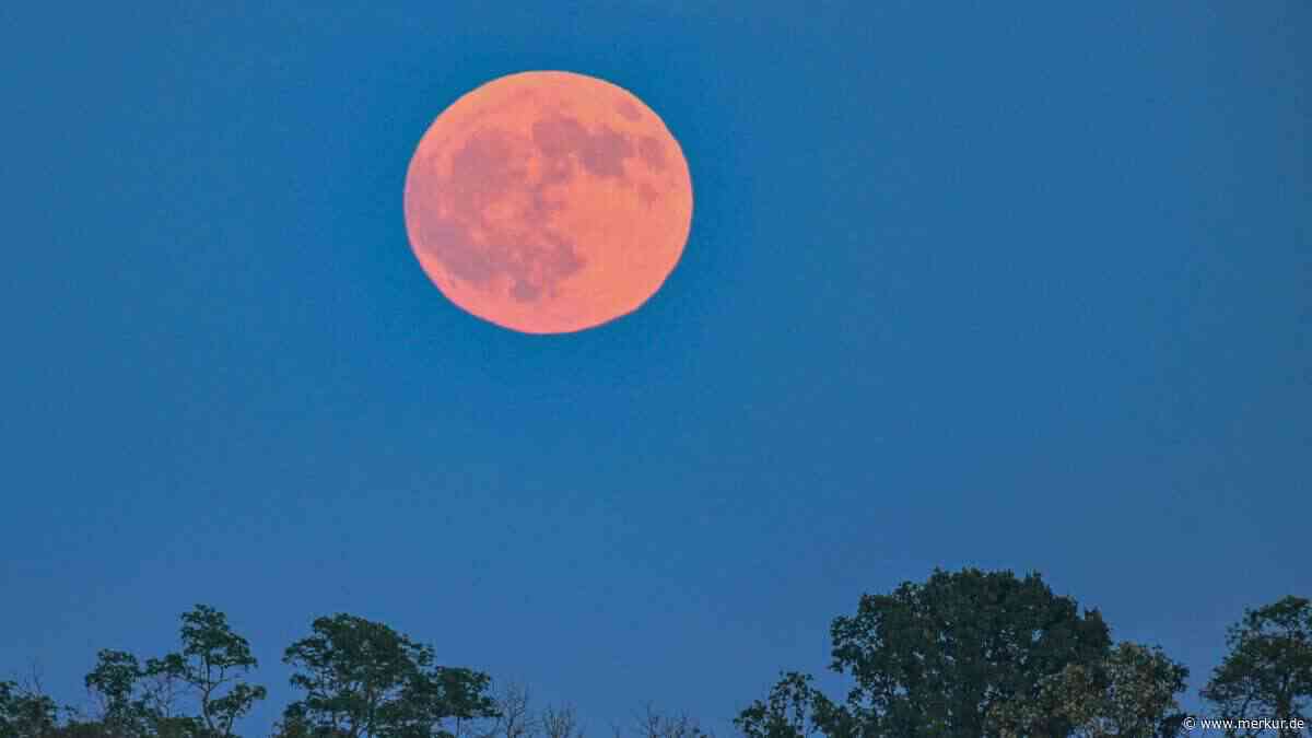 Erdbeermond geht heute Nacht auf – wann er am besten zu sehen ist