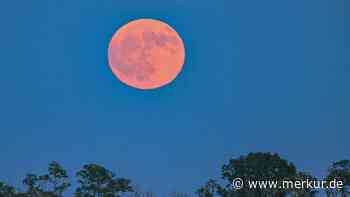 Erdbeermond geht heute Nacht auf – wann er am besten zu sehen ist