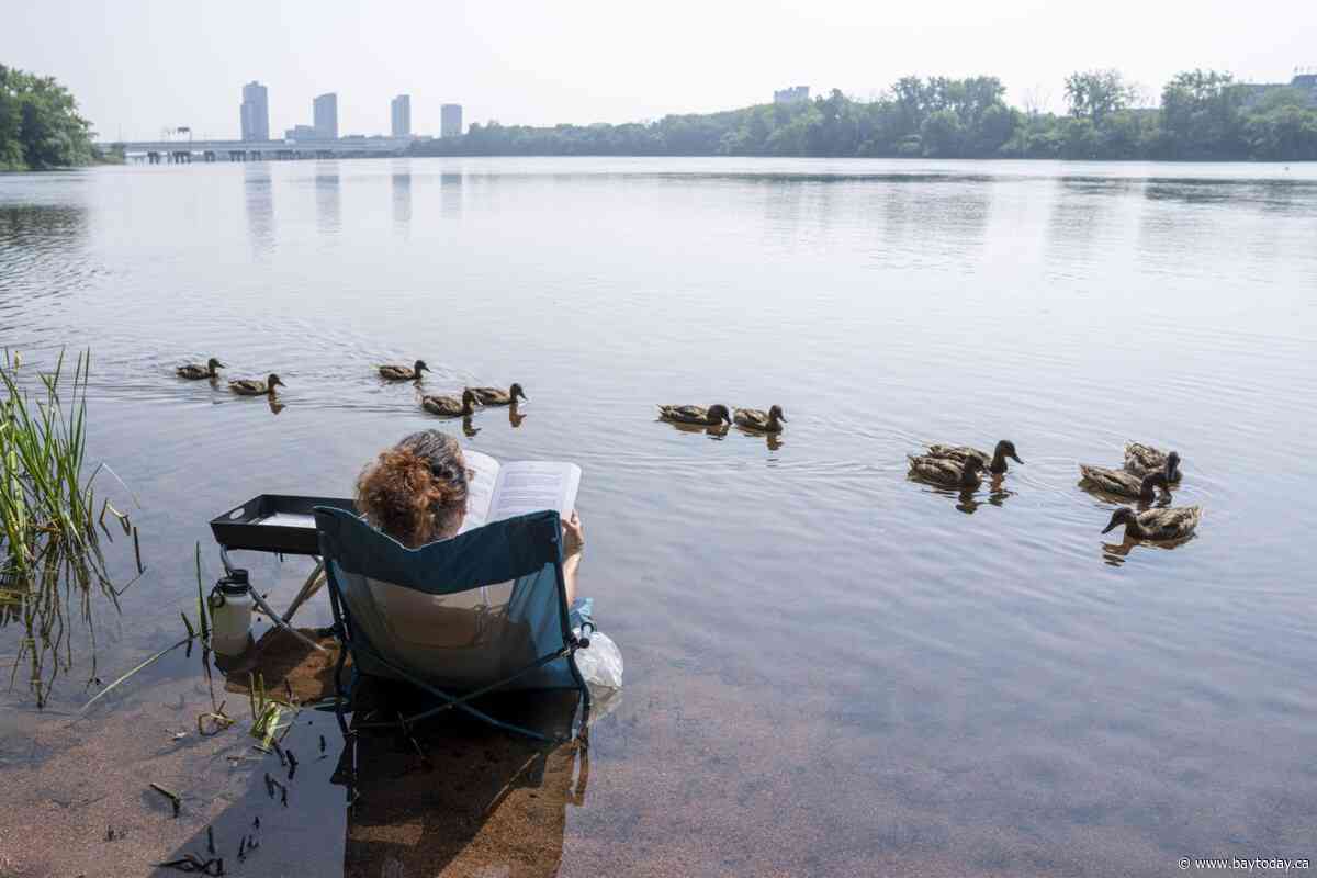 Environment Canada warns of high heat and humidity for southern Quebec and Ontario