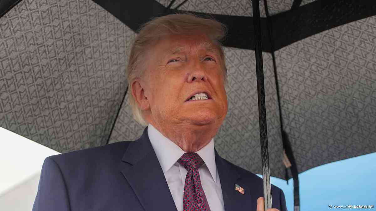 Hooggerechtshof wijst Trumps hoger beroep af in aanrandingszaak E. Jean Carroll