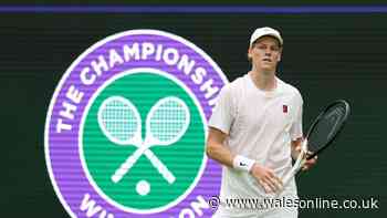 BBC Wimbledon commentator shares concern after Jannik Sinner's 'horrible' injury