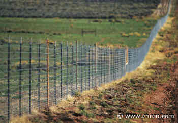 Texas oil heir faces ongoing backlash over Colorado ranch fence