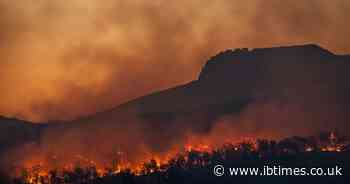 Fourth of July in Jeopardy: Fireworks Banned as America's Largest Wildfire Rages Out of Control