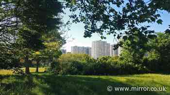 Newborn baby found dead in park as manhunt launched for person seen dumping bag