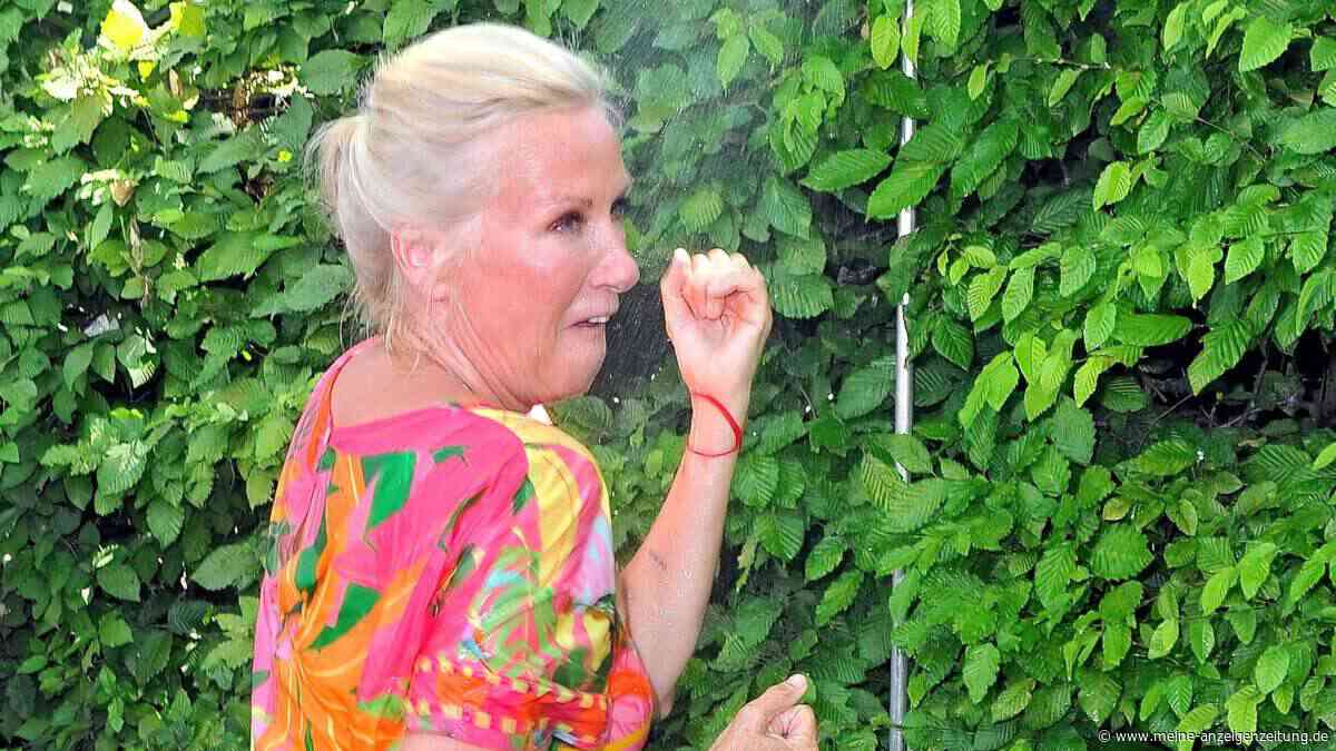 Hitze-Vorkehrungen im „ZDF-Fernsehgarten“: Ganzes Areal blieb ungenutzt