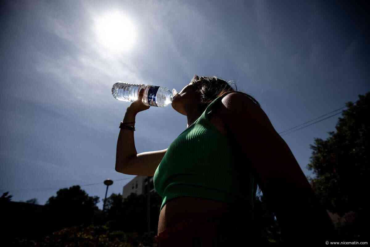 Canicule : quand pourrons-nous enfin « respirer » dans le Var et les Alpes-Maritimes ?