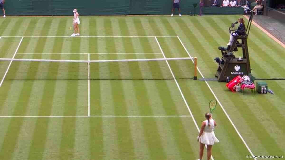 BBC pundit lashes out at Wimbledon star in middle of live coverage as player halts match