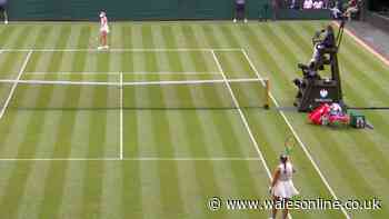 BBC pundit lashes out at Wimbledon star in middle of live coverage as player halts match