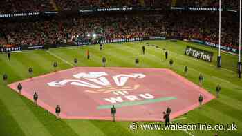 WRU deadline for three-club plan passes as search for new chair begins