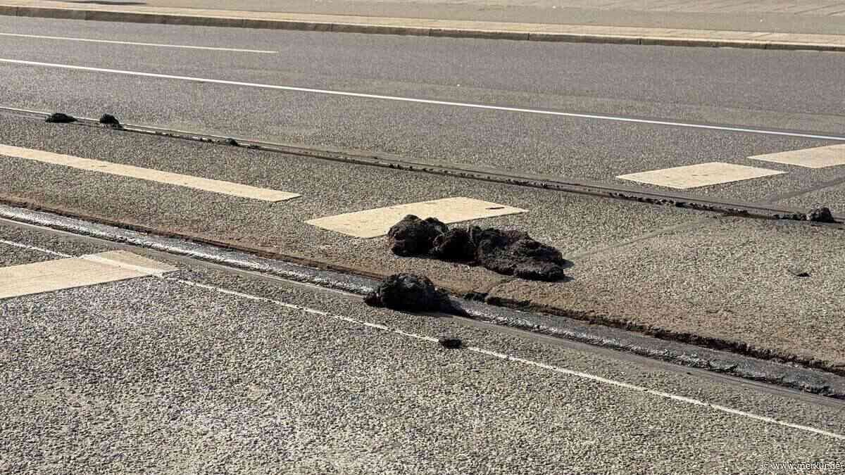 „Wie Kaugummi“: Hitzewelle legt Straßenbahn-Verkehr in bayerischer Stadt lahm