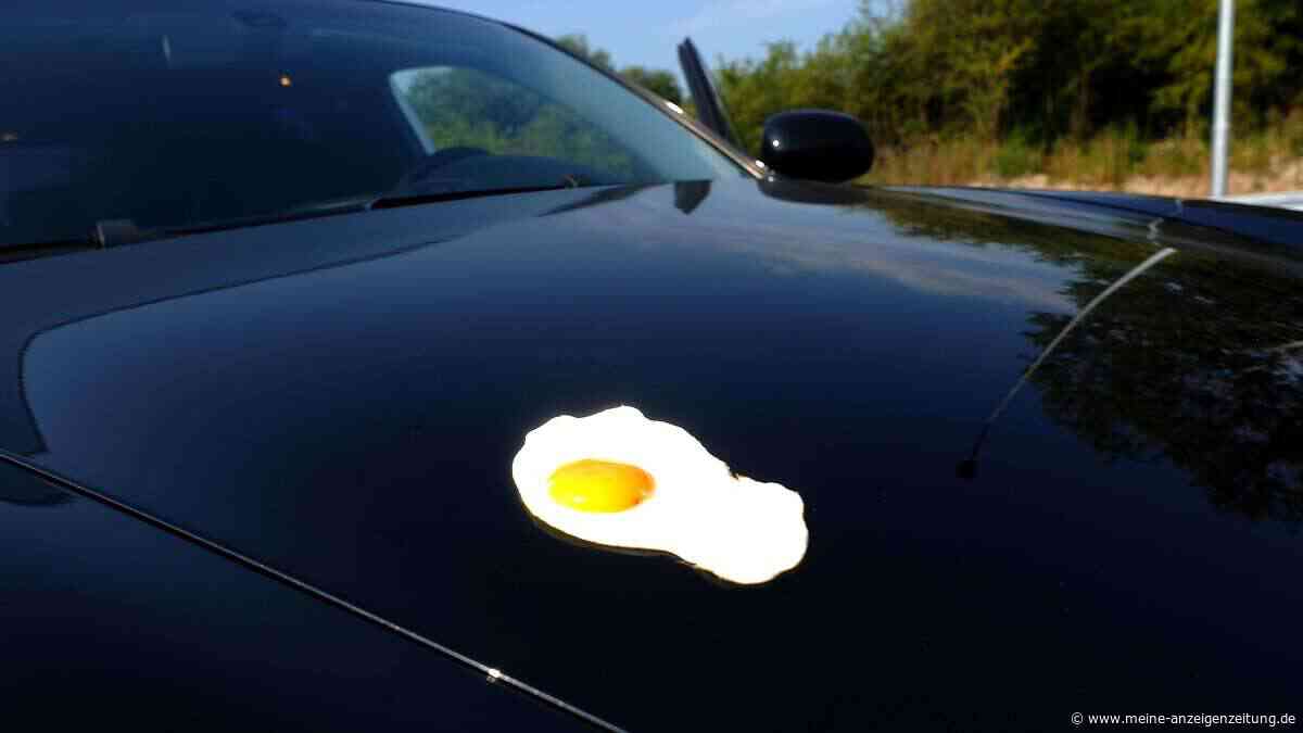Hitze in Deutschland: Kann man auf dem Autodach ein Spiegelei braten?