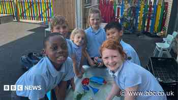 Net zero school stays cool and open during heatwave