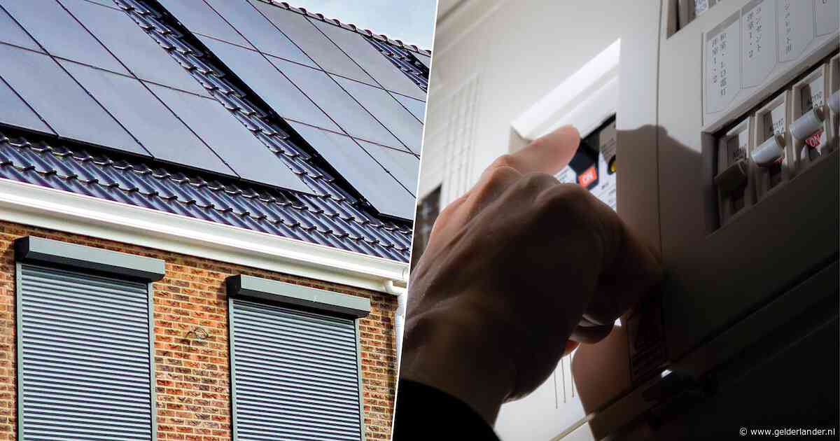 Stroomnet bezwijkt bijna onder de hittegolf, Liander wijst onverwachte veroorzaker aan