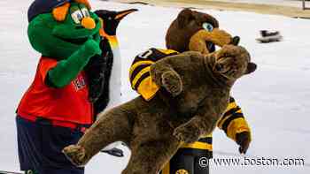 Turns out Wally is only the second most beloved Boston mascot, say Boston.com readers