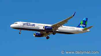 JetBlue plane collides with drone while landing at New York's JFK airport