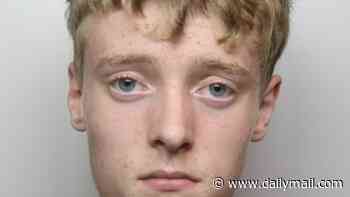Teenager, 17, who 'idolised serial killers' and threatened to blow up his college is jailed for almost four years