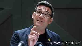 Burnham steals from Germans and Finns to flesh out his model for governing Britain