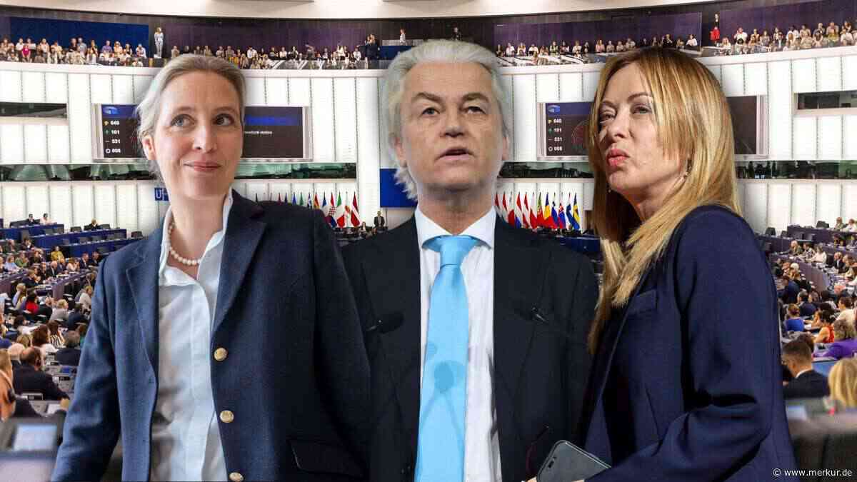 Populisten, Radikale, Extreme: Das rechte Lager in Europa – von Meloni bis AfD