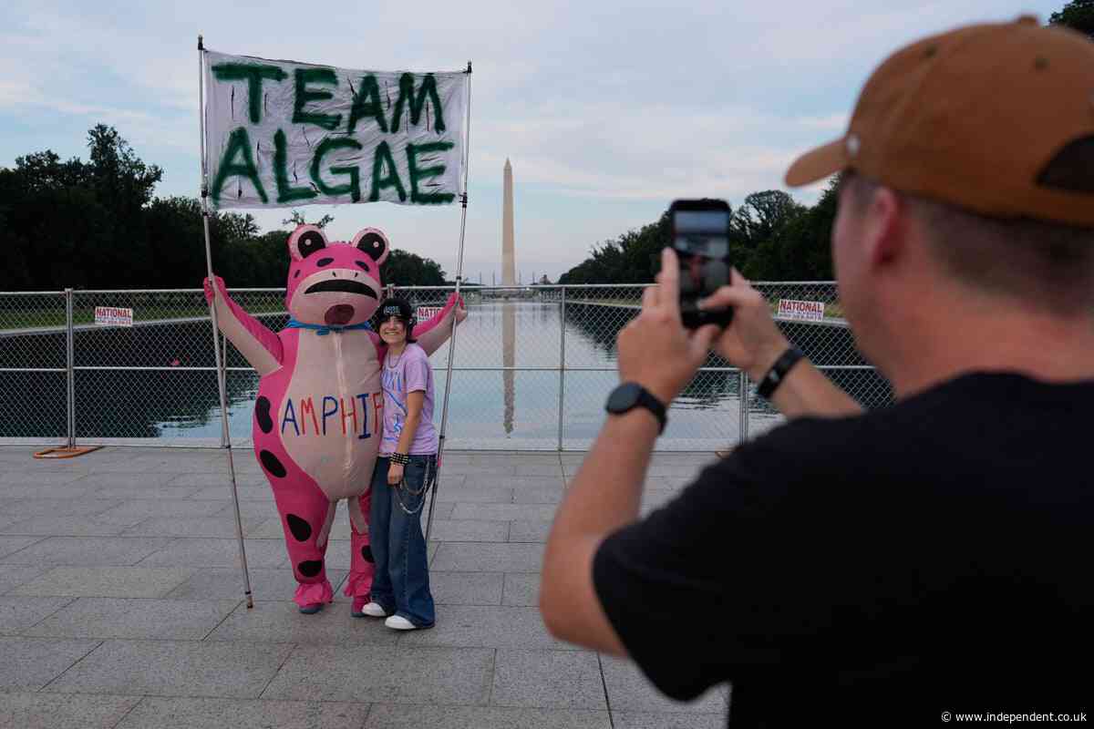 The internet is buzzing about Trump’s algae-struck Reflecting Pool