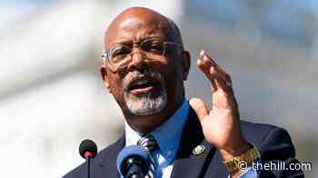 House Democrat: Idea of Democratic Party going hard left 'frankly overblown'