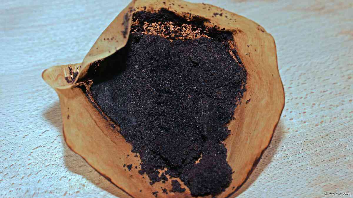 In Garten und Küche: So kann man Kaffeesatz wiederverwenden