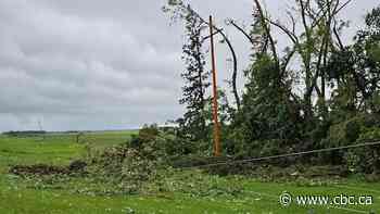 Tornadoes, golf ball-sized hail hit Saskatchewan over the weekend