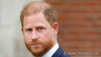 'Prince Harry security row proves he still craves privilege years after leaving royal life behind'